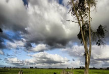 [CBA]全队发挥 北控击败山西.