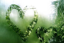 C7体育：[国]伊万科维奇：满意球员状态 最大限度发挥塞尔吉尼奥价值.